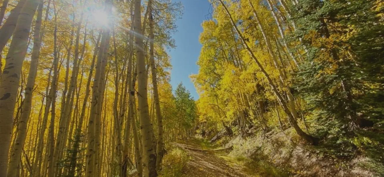 aspen sl 2