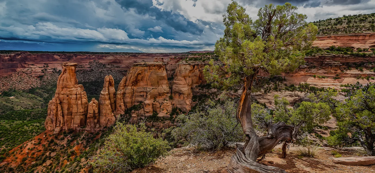 grand junction sl 1