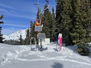 IMG_2348