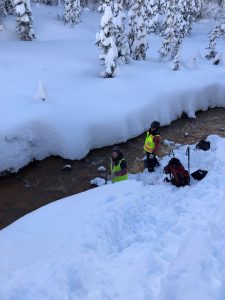 wintergauge
